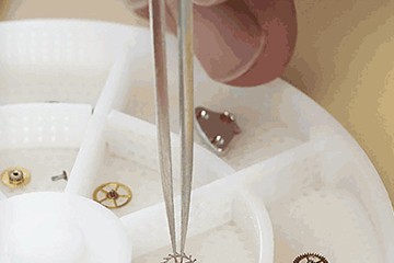 劳力士表大连官方售后维修位置